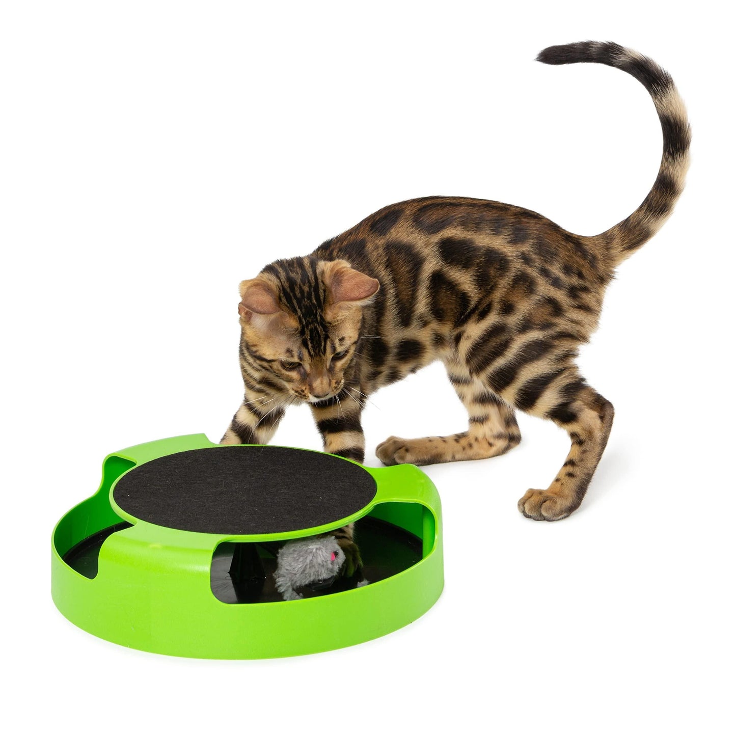Interactive Cat Toys for Indoor Cats Green Spinning Interactive Cat Toy 0.5 Lb Plastic Interactive Kitten Toys 360 Degrees Moving Cat Toy Mouse with Scratch Pad